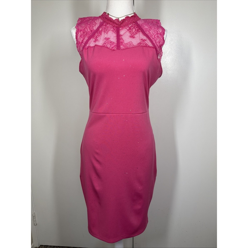 Victorian Goth Women's Sz L Sheath Dress Pink Lace Velvet Fairycore Whimsigoth